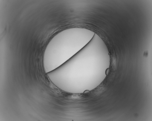 X0000114010668200910020953