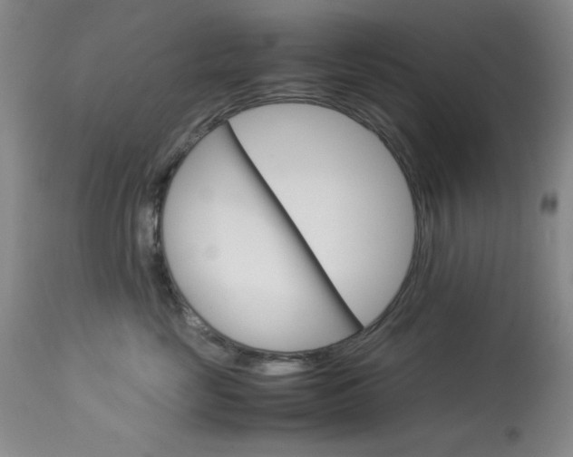 X0000114010669200910020953