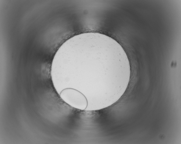 X0000114010672200910020954