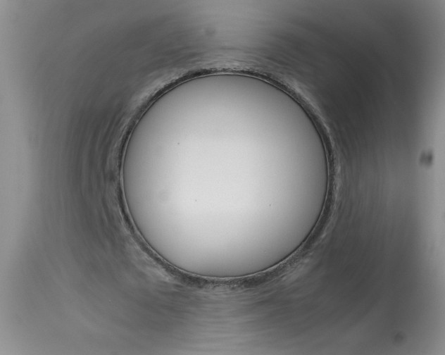 X0000114010673200910020953