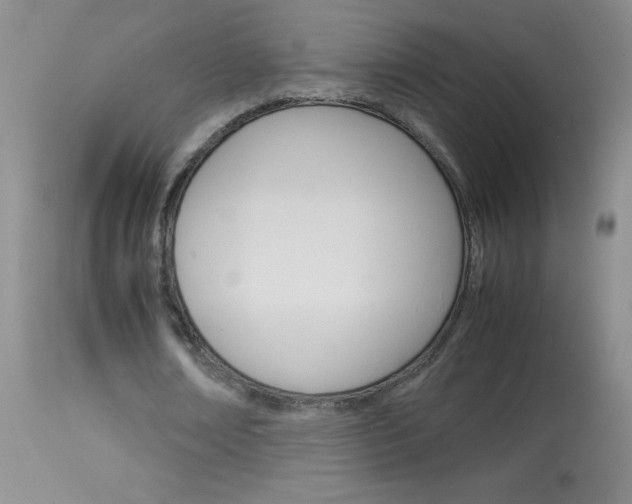 X0000114010674200910020953