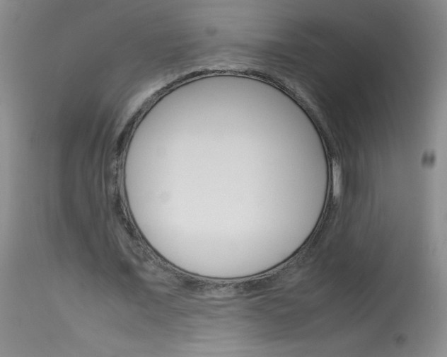 X0000114010675200910020953