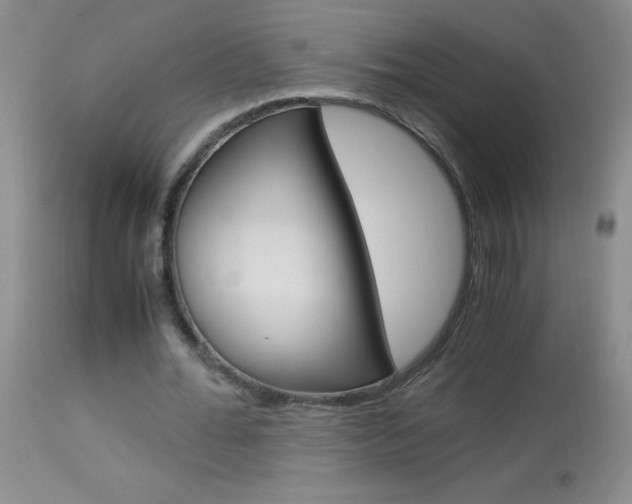 X0000114010676200910020953