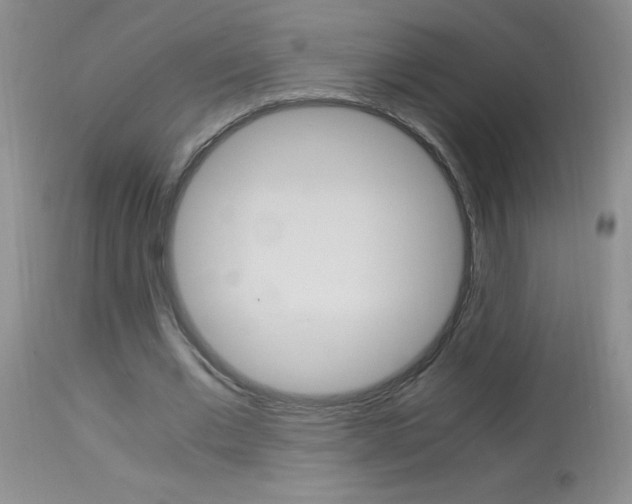 X0000114010677200910020953