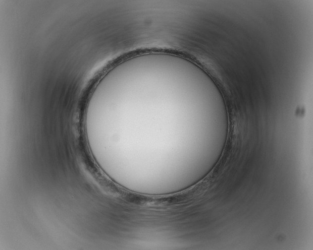 X0000114010680200910020953