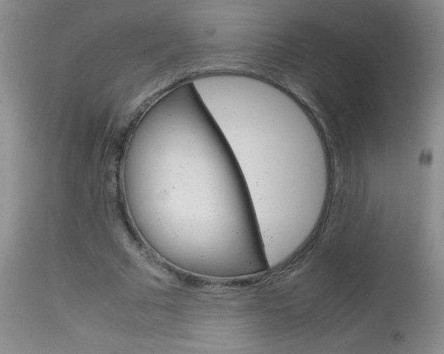 X0000114010681200910020953