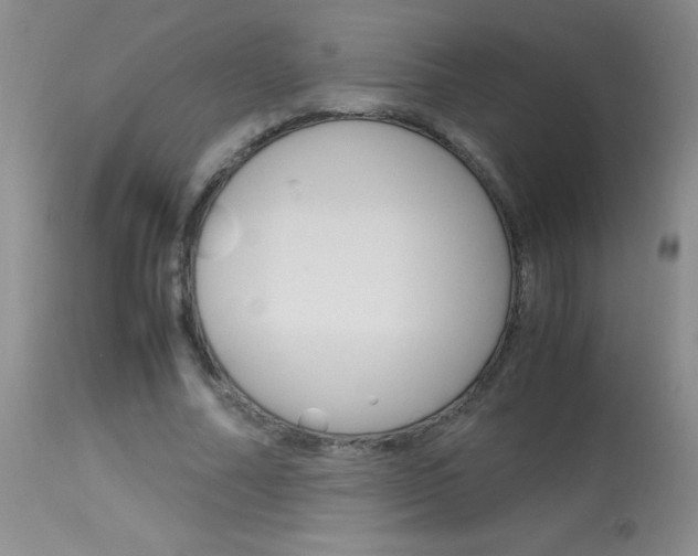 X0000114010682200910020953