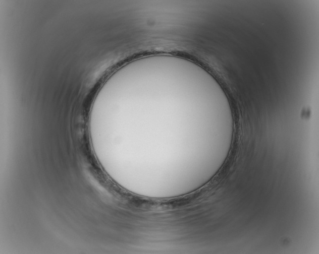 X0000114010683200910020953