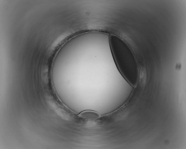 X0000114010684200910020953