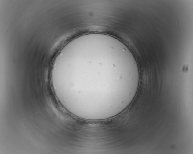 X0000114010686200910020953