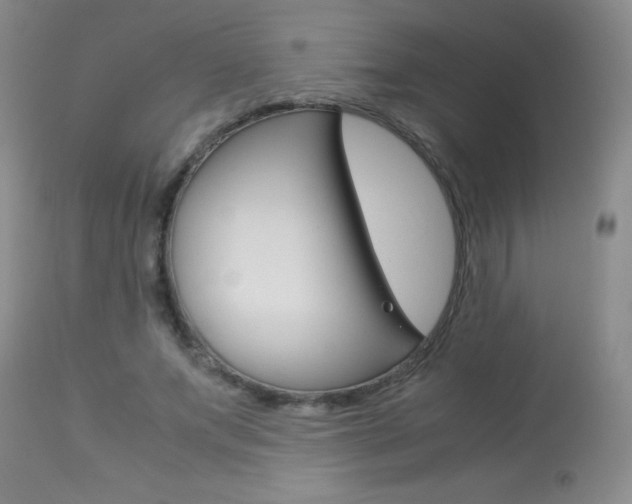 X0000114010687200910020953