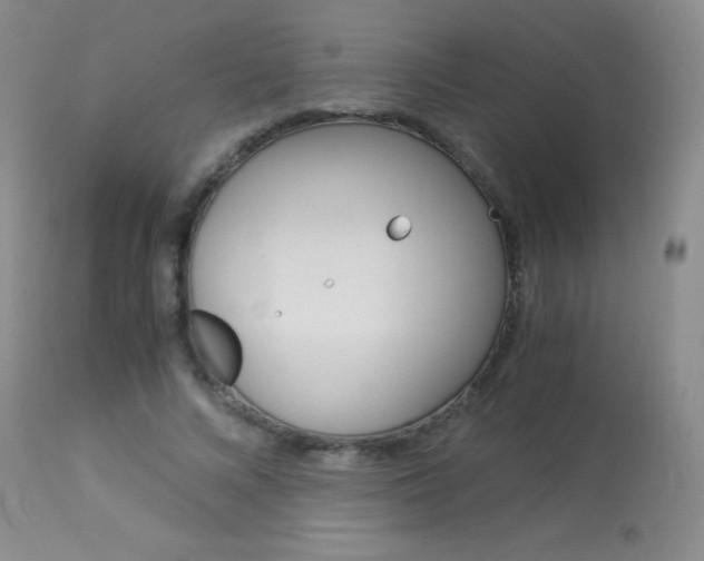 X0000114010688200910020953