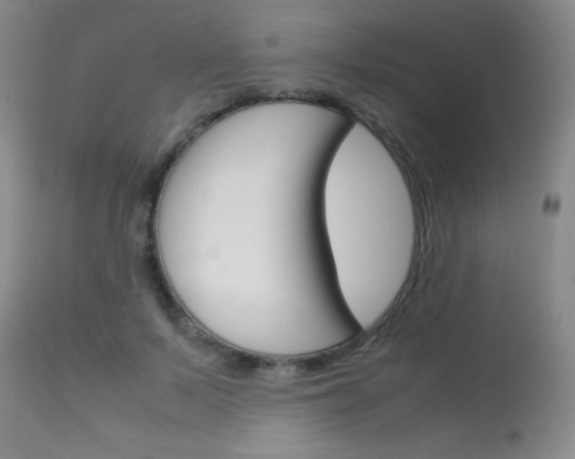 X0000114010695200910020953
