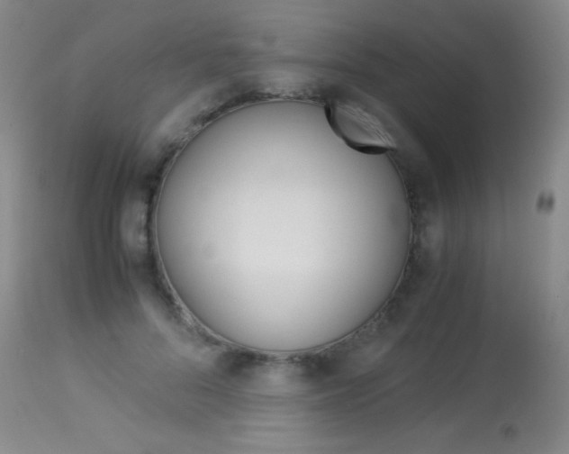 X0000114010696200910020953