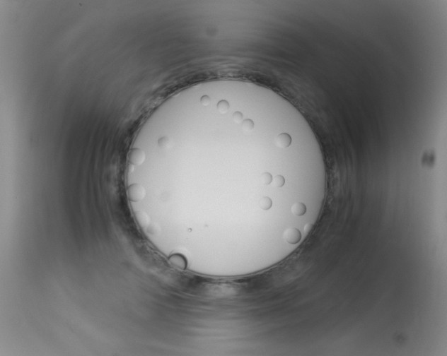 X0000114010698200910020953