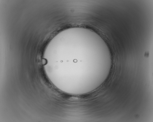 X0000114010699200910020953
