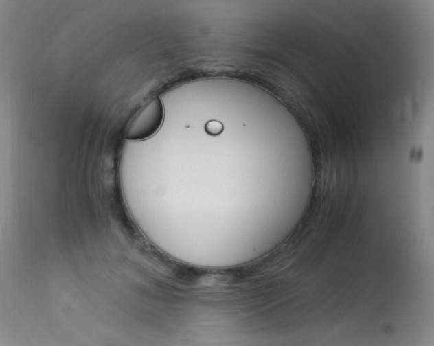 X0000114010700200910020952