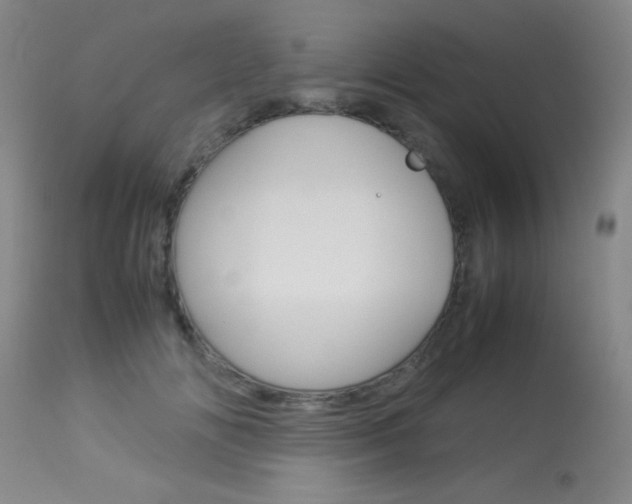 X0000114010702200910020952