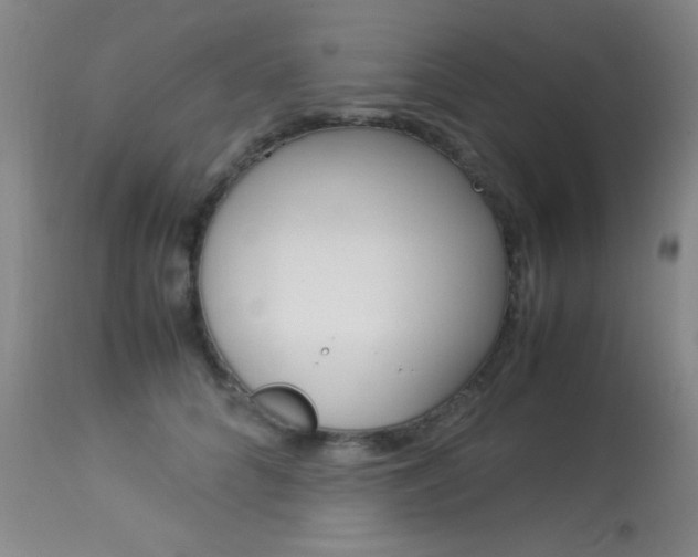 X0000114010704200910020952