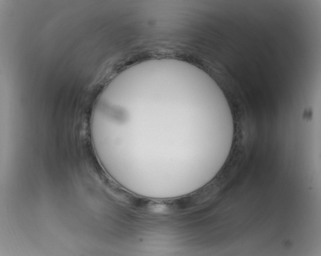 X0000114010706200910020952