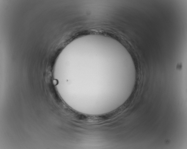 X0000114010707200910020952