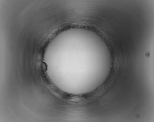 X0000114010708200910020952
