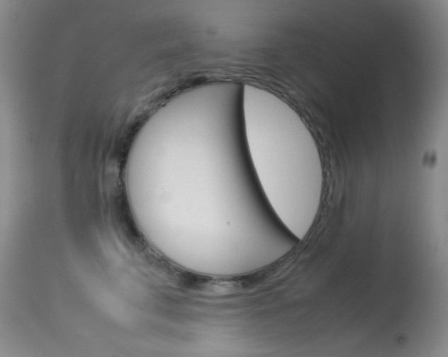 X0000114010711200910020952