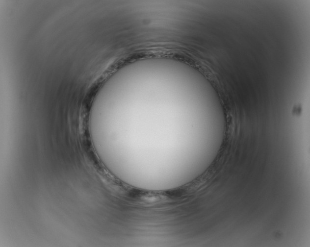 X0000114010712200910020952