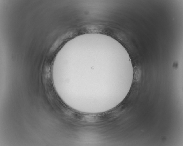 X0000114010713200910020952