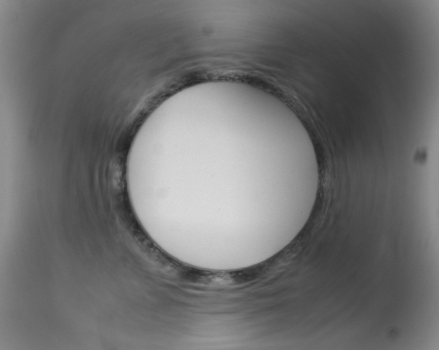 X0000114010715200910020952