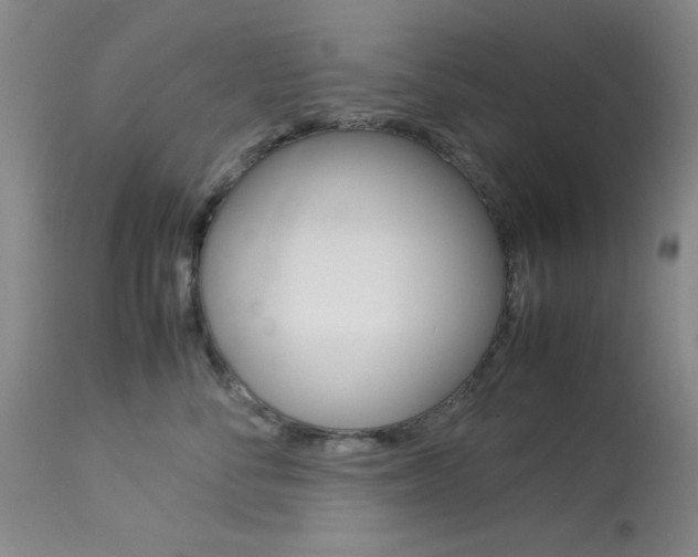 X0000114010716200910020952