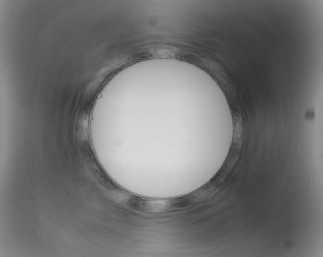 X0000114010717200910020952