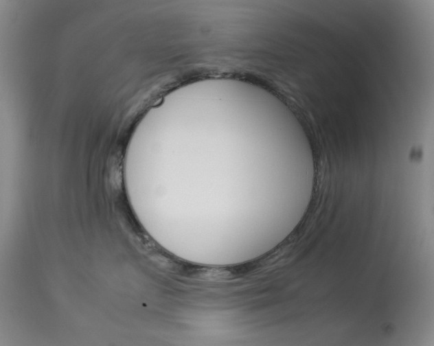 X0000114010719200910020952