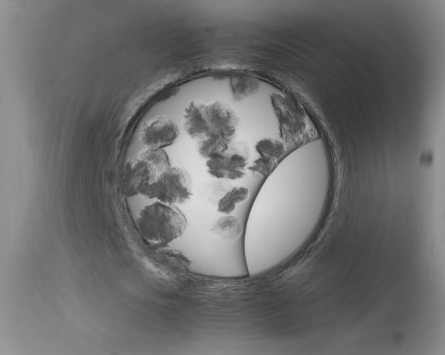 X0000114010721200910020951