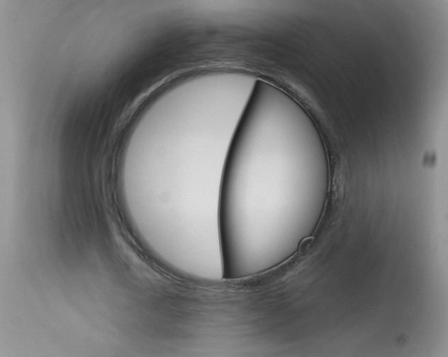 X0000114010722200910020951