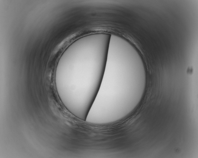 X0000114010723200910020951