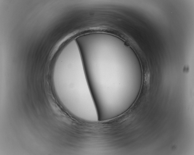 X0000114010724200910020951