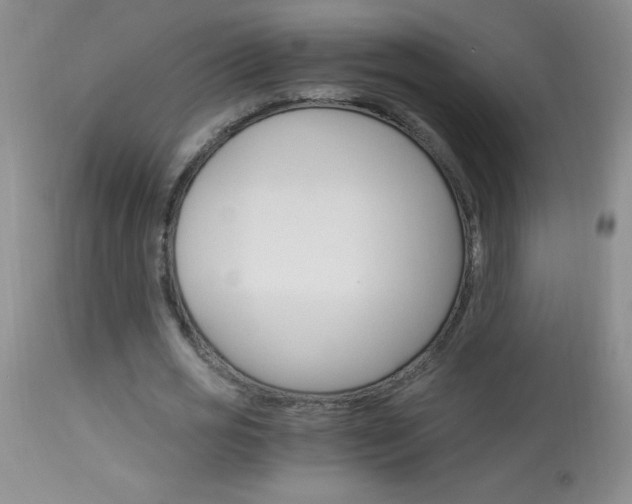 X0000114010725200910020951