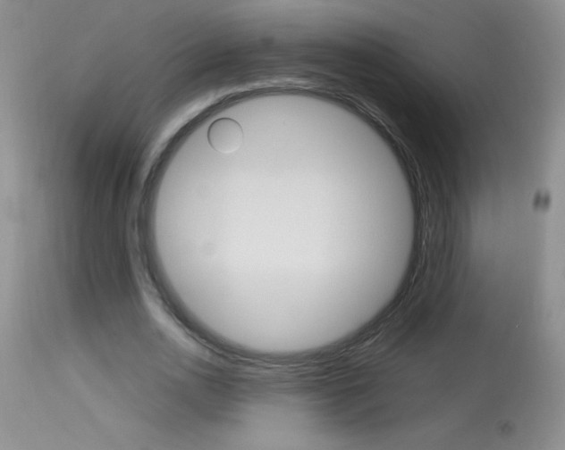 X0000114010726200910020951