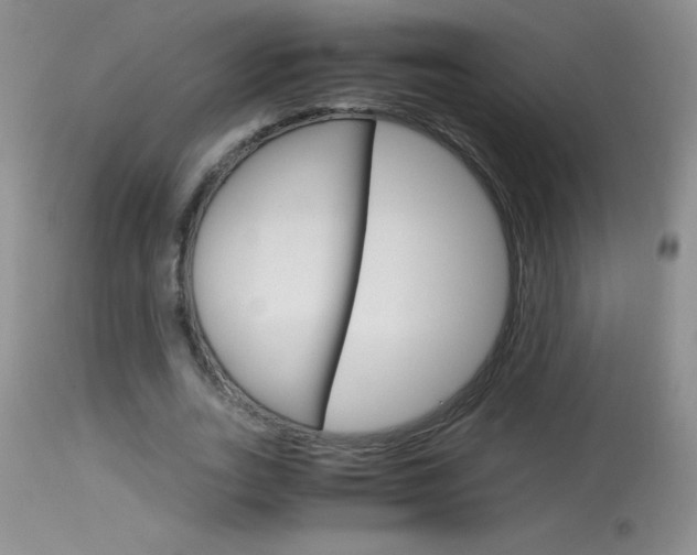 X0000114010727200910020951