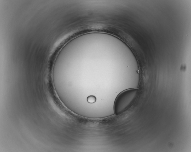 X0000114010728200910020951