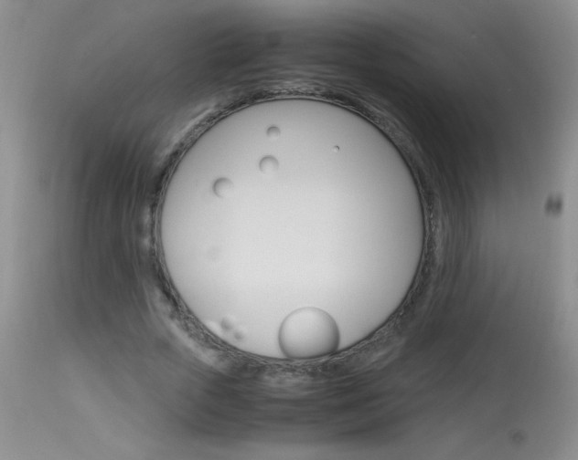 X0000114010729200910020951