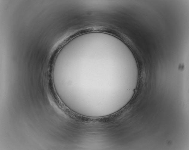 X0000114010730200910020952