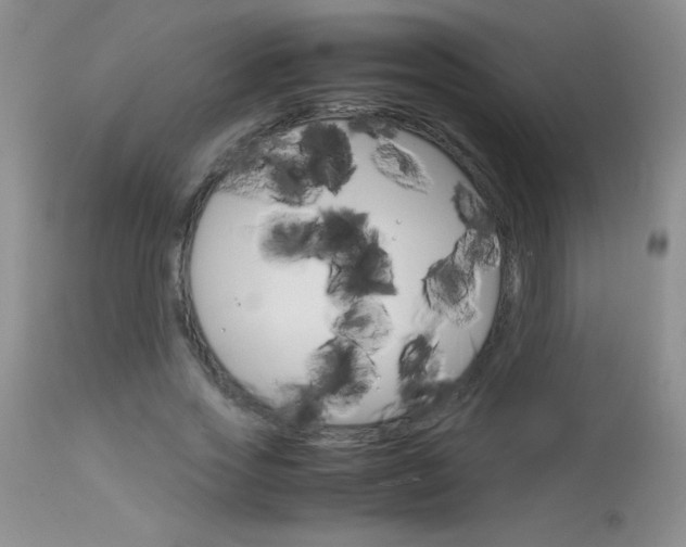 X0000114010733200910020952