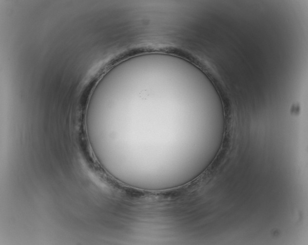 X0000114010736200910020952