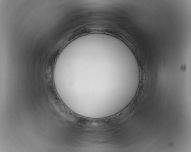 X0000114010737200910020952