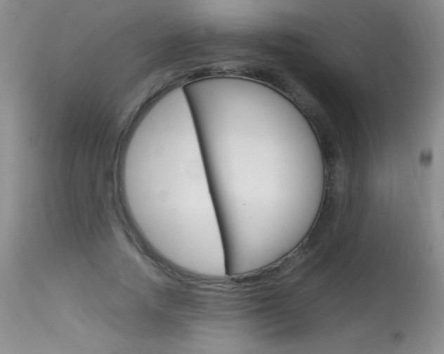 X0000114010738200910020952