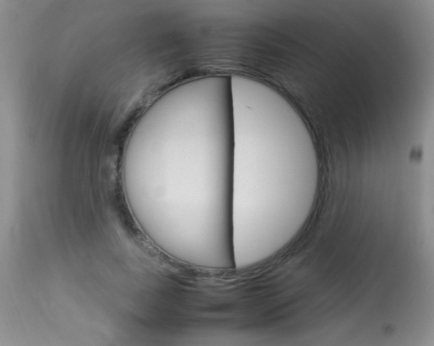 X0000114010739200910020952
