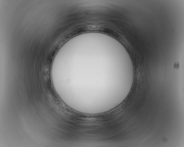 X0000114010741200910020952