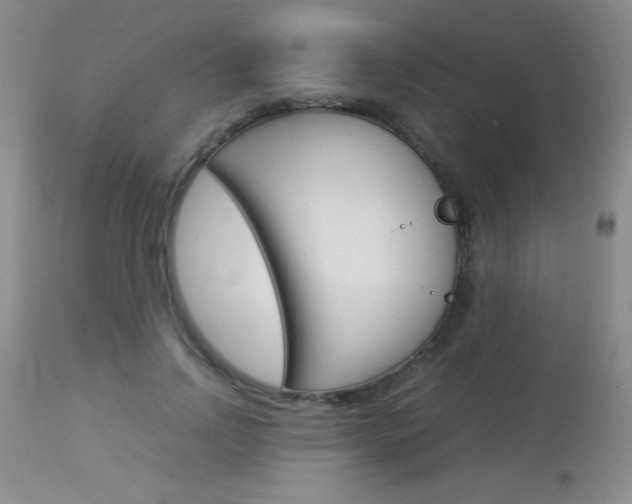 X0000114010742200910020952